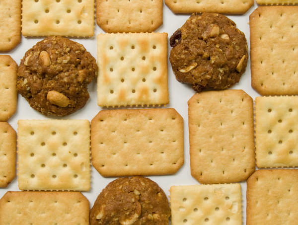 餅干烘干使用蒸汽模塊爐!